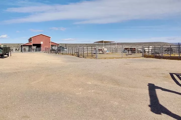 Grand Canyon West Skywalk Western Ranch Joshua Forest