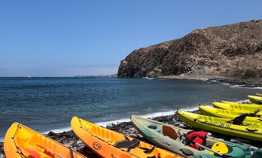 Image 4: Kayak con delfines y tortugas y snorkel en Palmmar