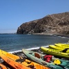 Image 4: Kayak con delfines y tortugas y snorkel en Palmmar