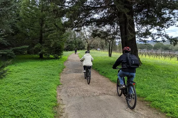 Sonoma Valley Pedal Assist Bike Tour with Lunch