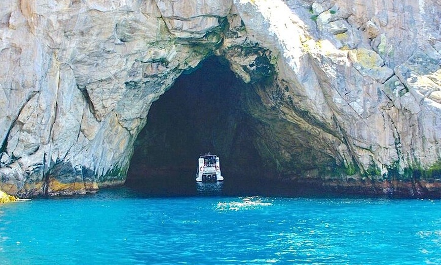 Image 9: Maria Island 3 hours and 30 mins Scenic Cruise