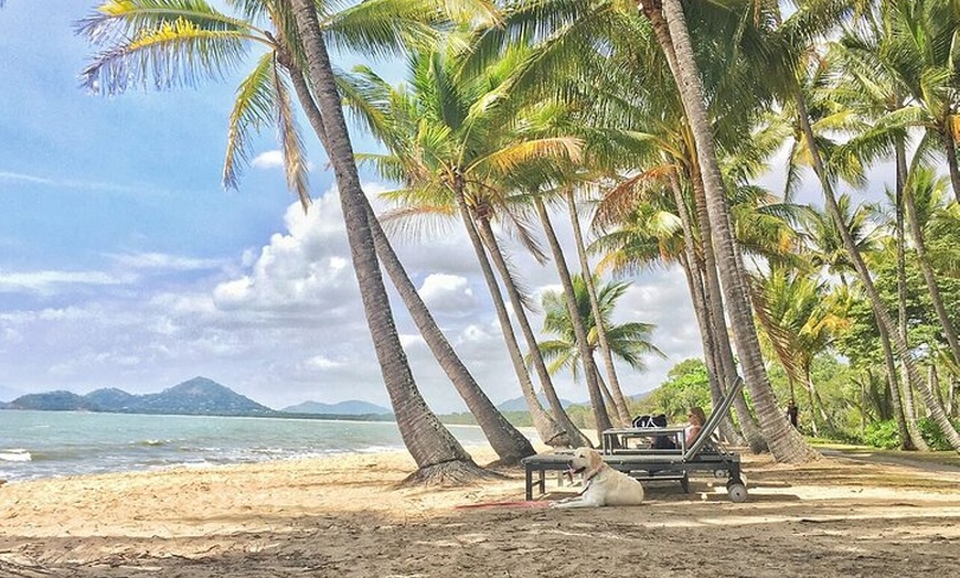 Image 4: Cairns City Half Day Tour