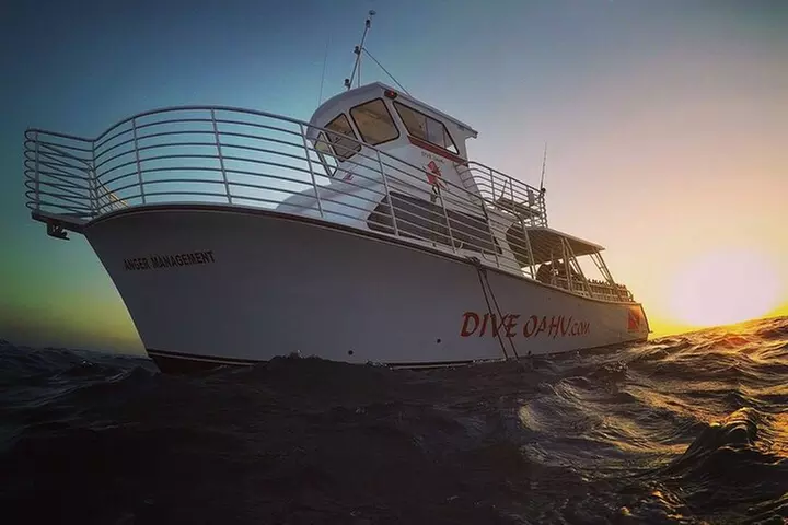 Waikiki to Diamondhead: Sunset BYOB Cruise