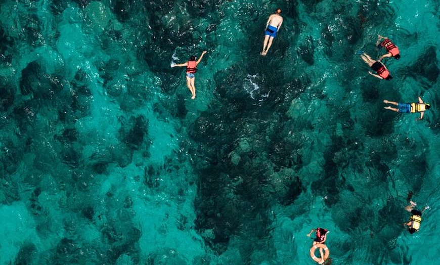 Image 5: Visita a Palma en speedboat desde Can Pastilla