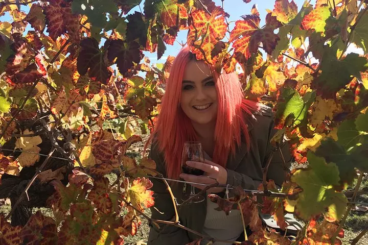 Swan Valley Winery Experience - Full Day Coach Tour