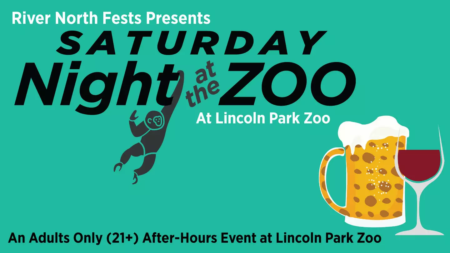 Saturday Night at the Zoo - An Adults Only Evening at Lincoln Park Zoo - Saturday, Aug 5, 2023 / 6:30pm - Primary Image