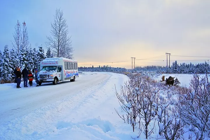 Anchorage's Winter City Tour = Samples + Stops + WildLife
