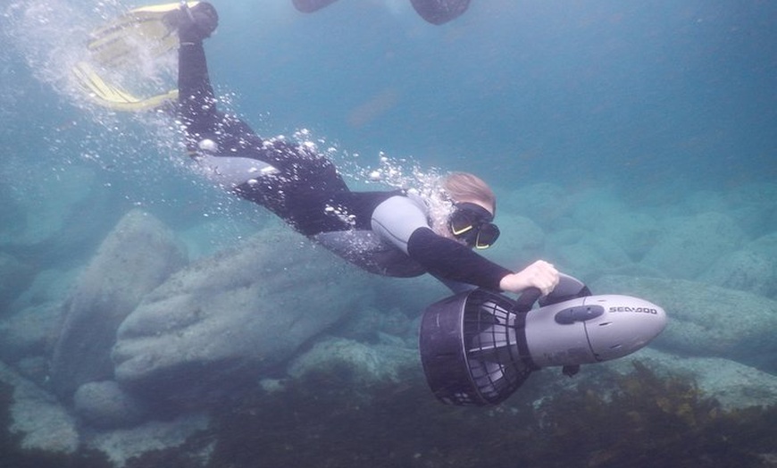 Image 4: sydney underwater scooter tours