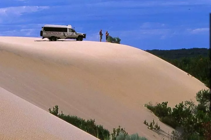 Half-Day Pemberton National Parks Beach and Forest Eco Adventure - Primary Image