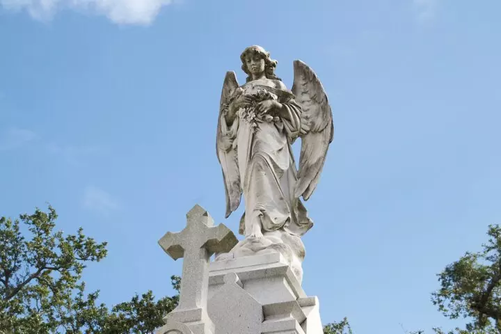 New Orleans Small-Group City Tour by Van