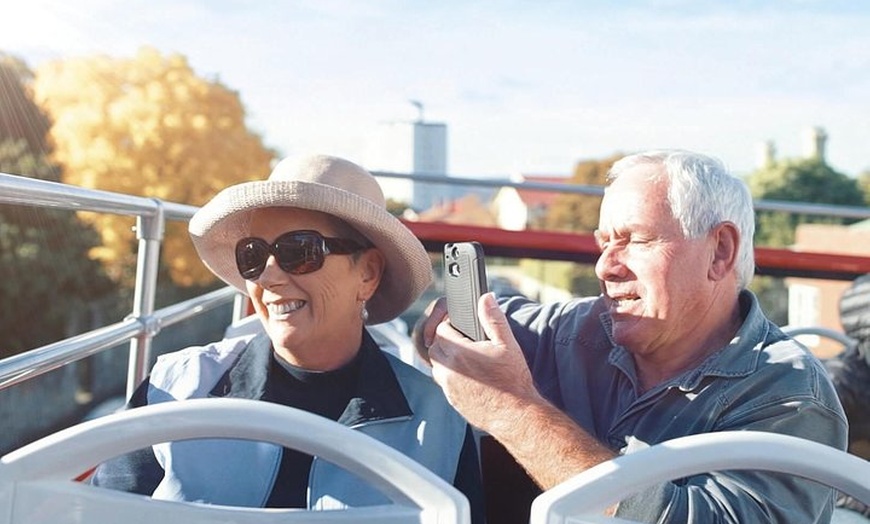 Image 3: kunanyi/Mt Wellington Tour & Hobart Hop-On Hop-Off Bus