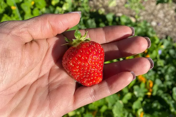 Faithful Hands Farm Tour