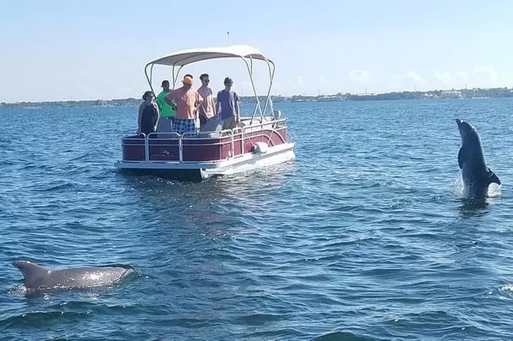 Small Group Florida Keys Eco Tour by Boat