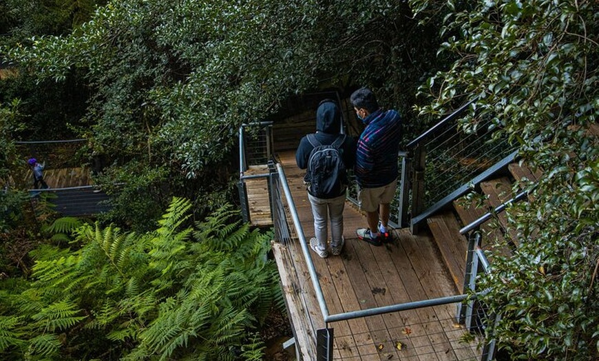 Image 38: PRIVATE Blue Mountains Scenic World Australian Wildlife & Cruise
