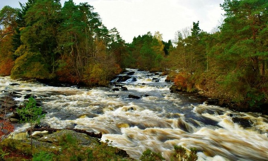 Image 4: Loch Lomond & The Highlands Private Day Tour with Scottish Local