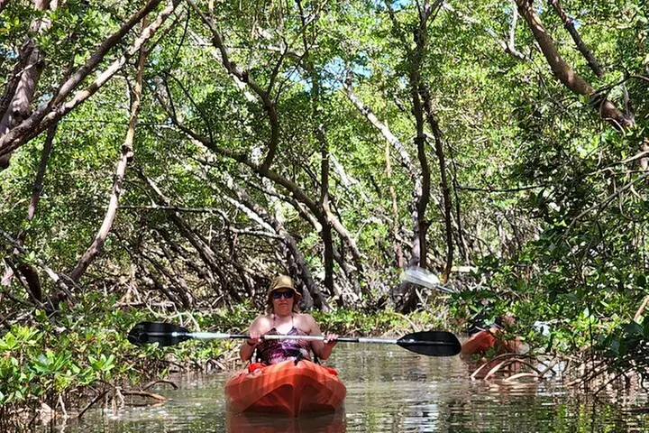 Kayak and SUP Rentals - Big Hickory Island - Fort Myers Beach, FL