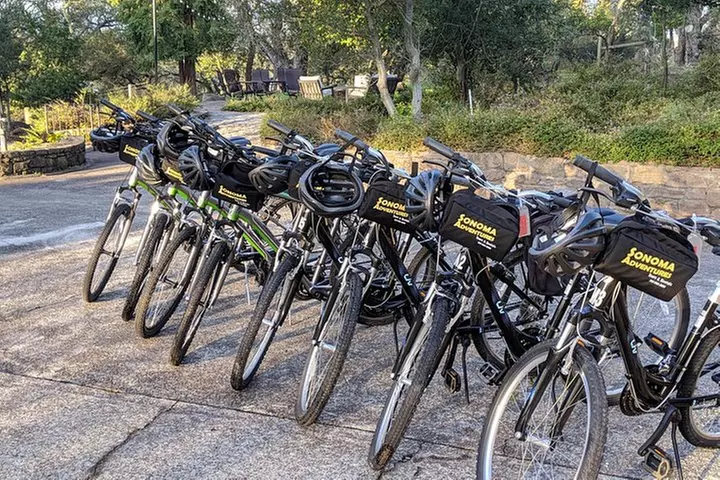 Behind-the-Scenes Food and Wine E-Bike Tour