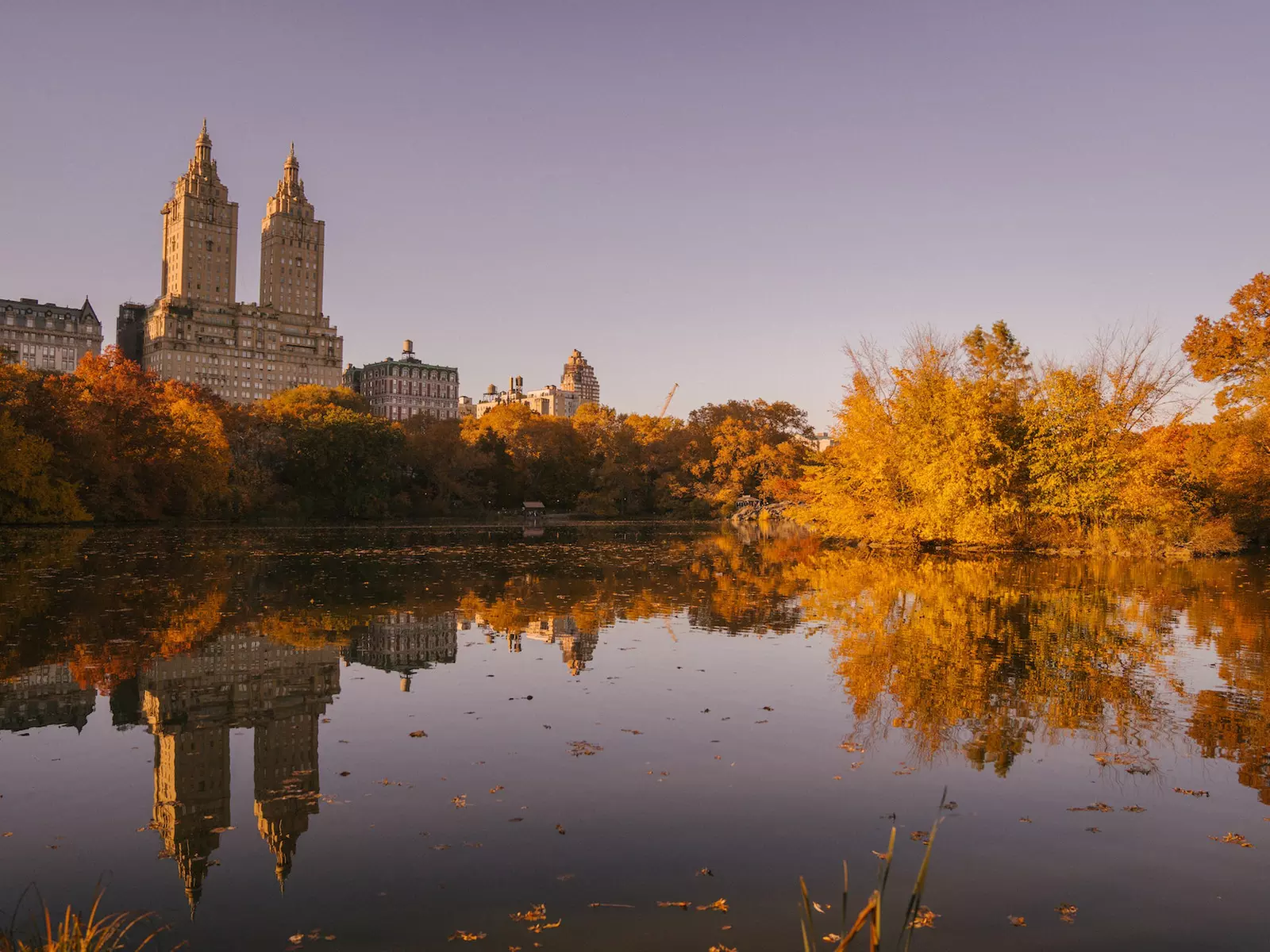Unlimited Biking: Central Park Bike and eBike Rentals - Available Any Date Through December 31, 2024 - Primary Image