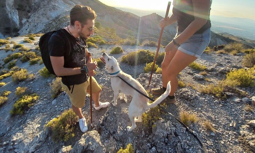 Image 31: NUEVO:Sunset Hike & Summit Sierra Nevada - Tour privado con cachorro