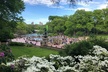 Horse Carriage Ride to/from Tavern On The Green (Up to 4 Adults) - Second Medium