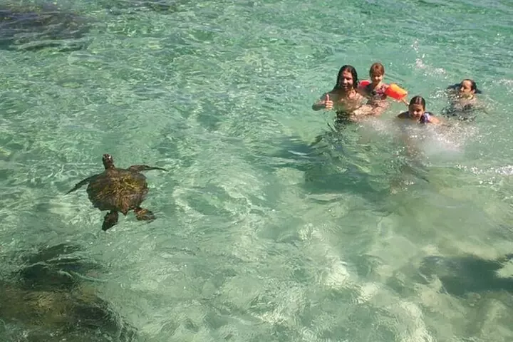 Full Day Oahu Circle Island -Turtle Beach Snorkel at North Shore