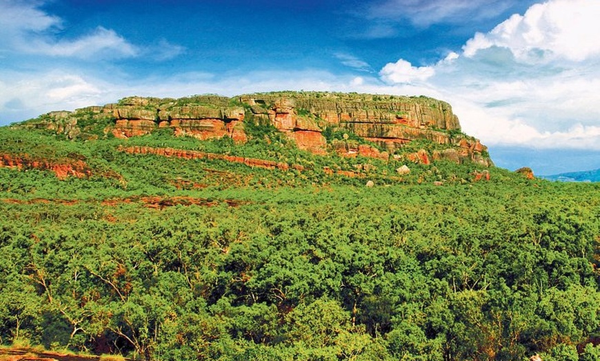 Image 3: Kakadu, Nourlangie and Yellow Waters Tour from Darwin