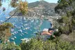 2 hour Inside Adventure Tour on Catalina Island - Second Medium