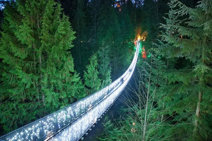 Vancouver Sightseeing Tour Including Capilano Holiday Lights and Flyover Canada - Primary Image