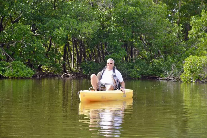 Deluxe Kayak Tour Marco Island and Naples, Florida