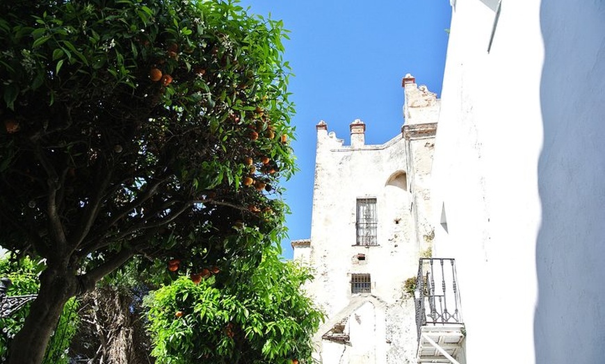 Image 7: Tour privado Tarifa para ver ballenas y delfines