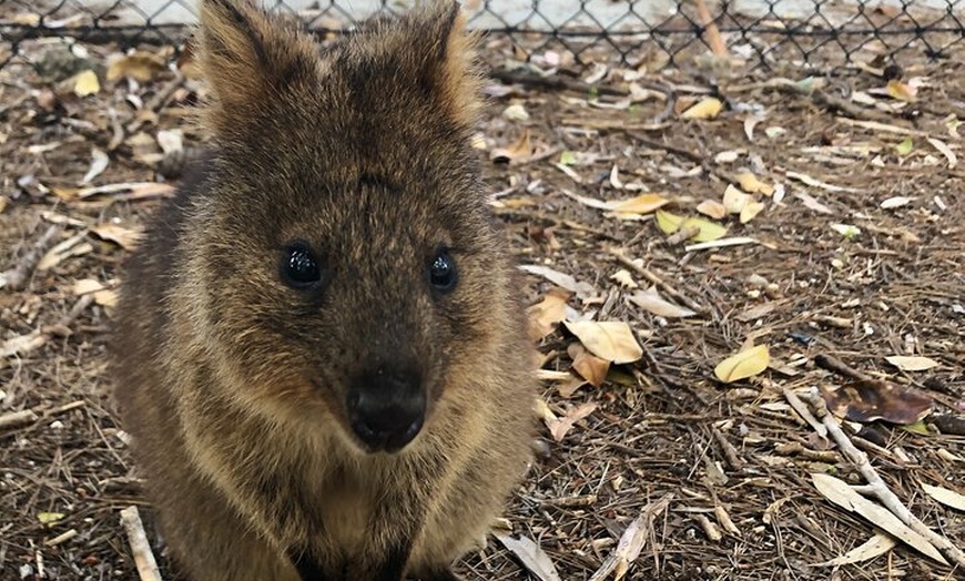 Image 8: Perth Electric Bike Tours