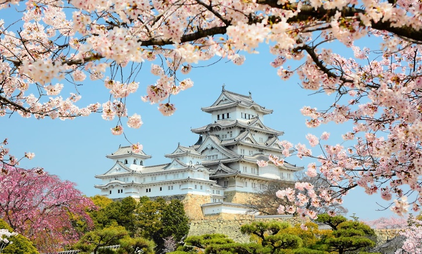 Image 21: ✈ JAPAN | From Tokyo to Osaka - Japan's must-sees 3* - Tour