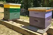 Promise Land Bee Farm Private Tour in Charleston - Second Medium