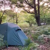 Image 12: Pack Pony Wild Camping in Ancient Woodland, Dorset