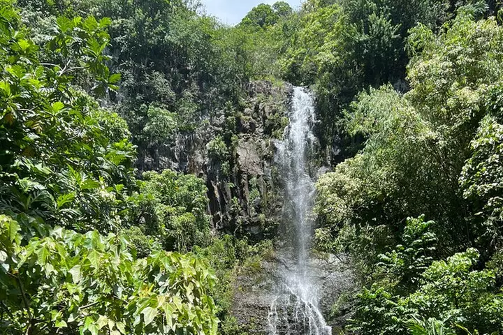 Scenic Road to Hana Adventure with Brunch