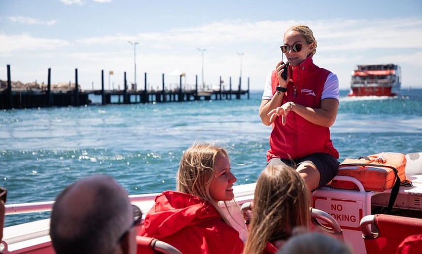 Image 7: Adventure Rottnest Tour with Ferry & Adventure Cruise