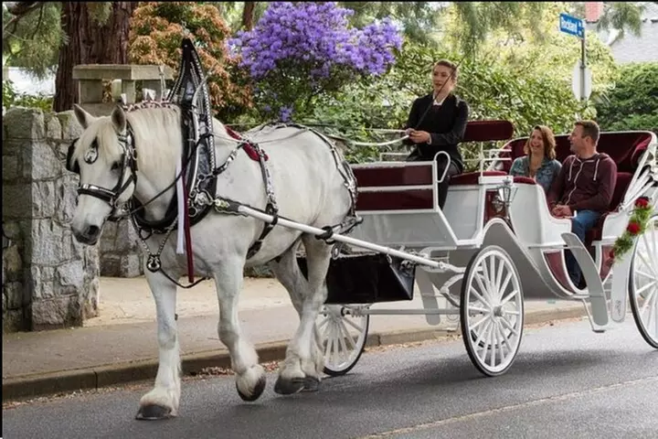 Central Park and NYC Private Horse Carriage Ride - Primary Image