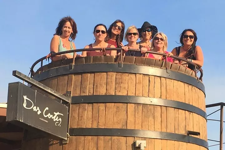 Luxury Private Wine Tasting Tour to Guadalupe Valley from San Diego