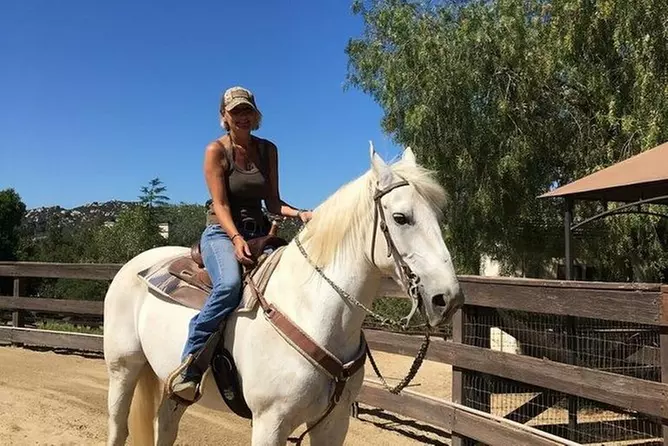 Top experience horse back riding and trails - Primary Image