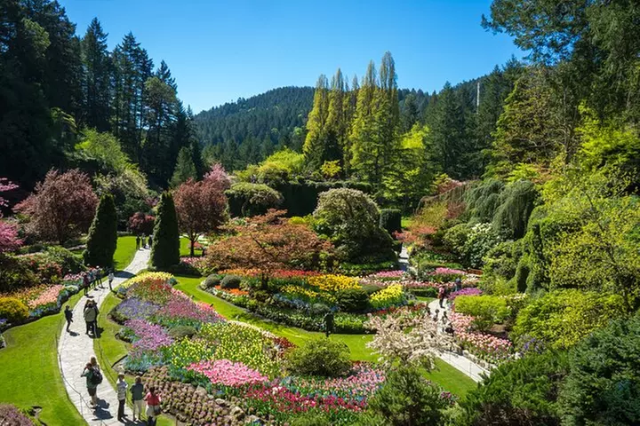 Butchart Gardens and Victoria Sightseeing Tour from Vancouver - Primary Image