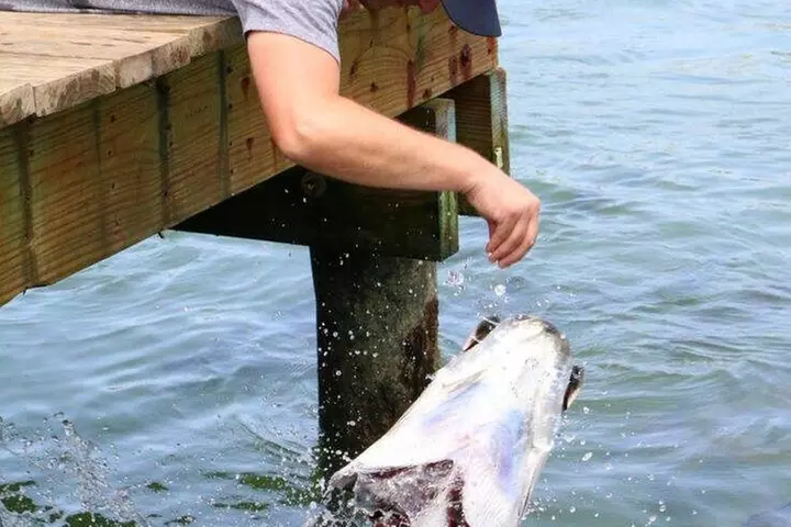 Key Largo Coral Reef Park and Sunset Celebration