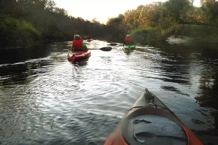 Manatee and Dolphin Kayaking Encounter