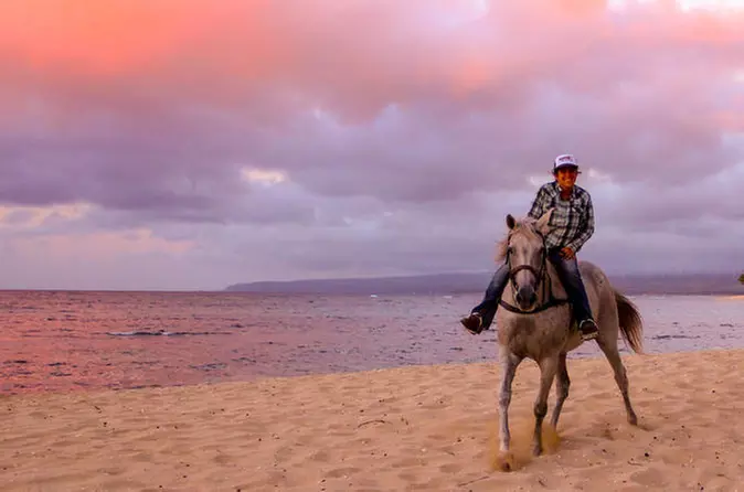 Hawaii Polo Oceanfront Horseback Rides - Primary Image