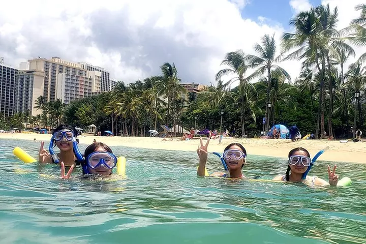 Snorkeling in Waikiki Tons of Fish All Levels Free Video & Pics! - Primary Image
