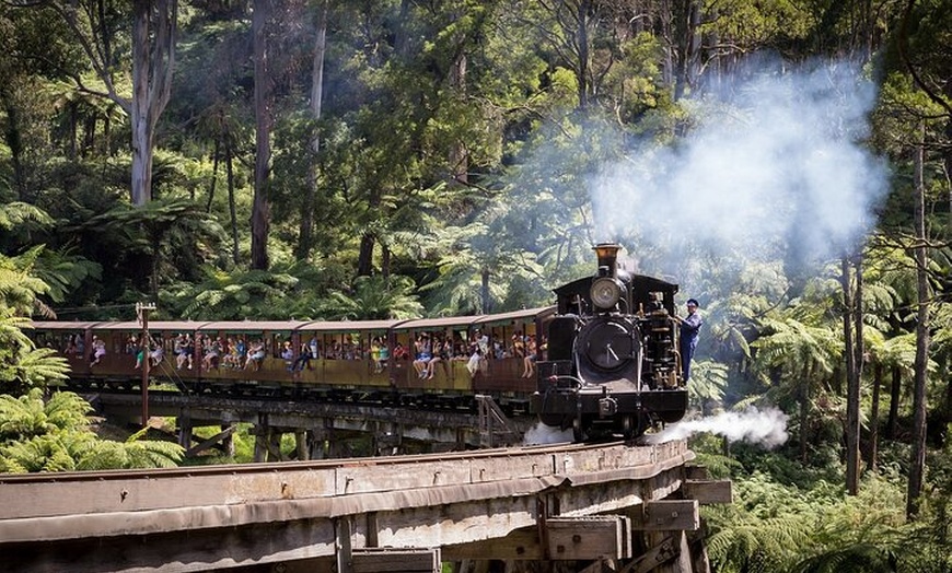 Image 14: Melbourne Puffing Billy Train and Penguin Parade Day Tour Escape