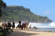 Horseback Riding through Secluded Beaches and Tropical Forests - Second Medium