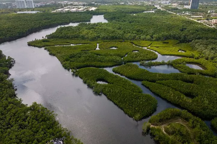 Clear Kayak Tour in North Miami Beach - Mangrove Tunnels