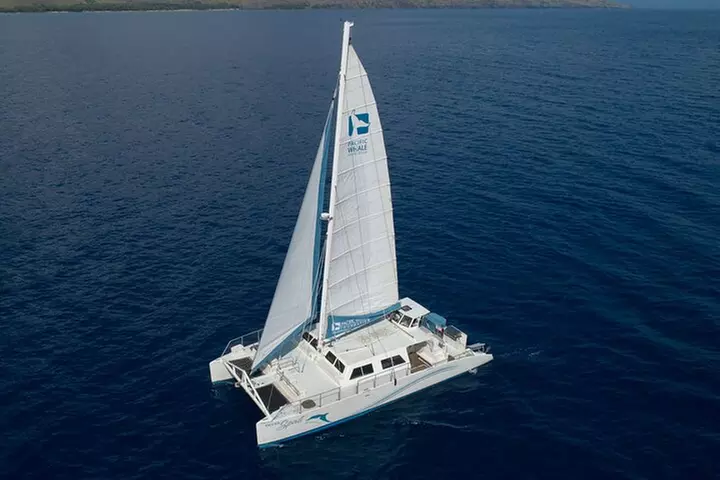 Exclusive Honolua Snorkel Sail - Primary Image