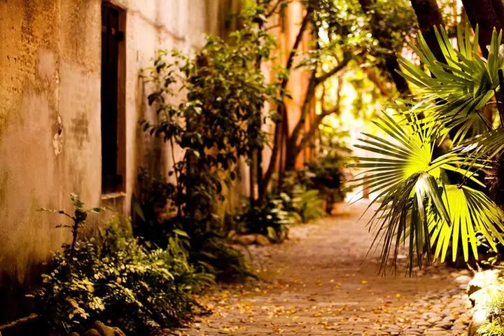 Small Group Historic Charleston walking Tour