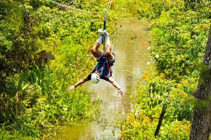 New Orleans Zipline Swamp Tour